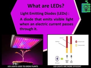 What Are LEDs?