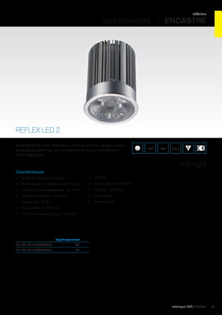 Projecteur à LED Comfort Pro 50 watts, pour l´intérieur et l´extérieur,  manèges, non réglable