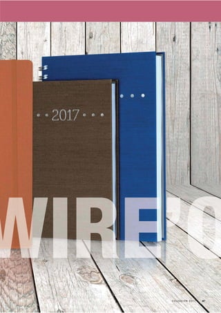 47C O L E C C I Ó N 2 0 1 7
 