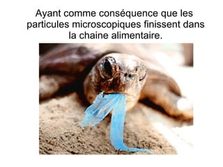 Ayant comme conséquence que les particules microscopiques finissent dans la chaine alimentaire. 