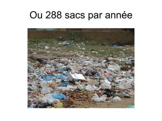 Ou 288 sacs par année 