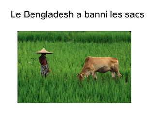 Le Bengladesh a banni les sacs 