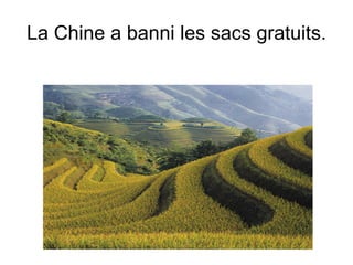 La Chine a banni les sacs gratuits. 