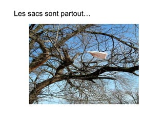 Les sacs sont partout… 