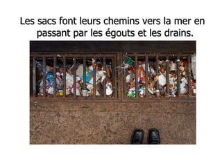 Les sacs font leurs chemins vers la mer en passant par les égouts et les drains. 