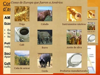 Conseqüències del descobriment
d’amèrica
AMÈRICA
Econòmiques:

• Explotació mines:OR, PLATA
• Nous cultius
• Nous animals

Polítiques: Destrucció de tribus
indígenes.

Socials: Mortalitat indígenes.
Aparició del mestissatge.

Culturals: Imposició
cultura, llengua i religió europea.
 