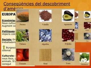 EUROPA
Econòmiques:
Nous cultius
Augment comerç

Polítiques: Apareixen els
imperis colonials

Socials: Emigració de
treballadors a Amèrica.

    Burgesia    Comerç
colonial

Culturals: Coneixement de
nous llocs, plantes i
animals. S'amplia el món
conegut
 