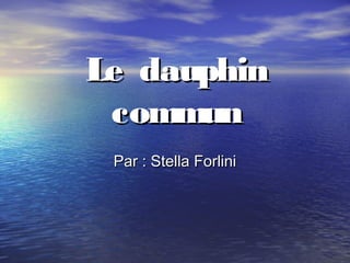 Le dauphin
commun
Par : Stella Forlini

 
