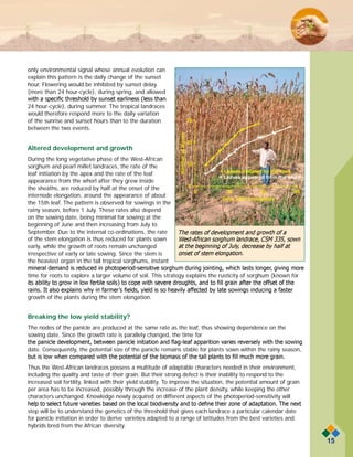 Led by light in west africa