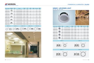 Sainico & Warom - LED Catalog