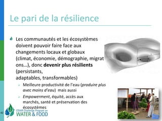Le pari de la résilience<br />Les communautés et les écosystèmes  doivent pouvoir faire face aux changements locaux et glo...
