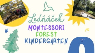 Montessori
Forest
Kindergarten
 