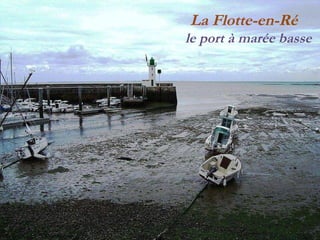 La Flotte-en-Ré  le   port à   marée   basse 