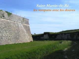 Saint-Martin-de-Ré  les remparts avec les douves 
