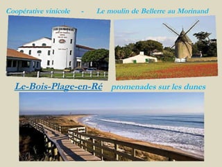 Le-Bois-Plage-en-Ré   promenades sur les dunes   Coopérative   vinicole  -  Le   moulin   de   Bellerre   au   Morinand 