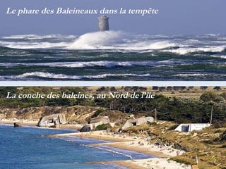 Le phare des Baleineaux dans la tempête La conche des baleines, au Nord de l’île  