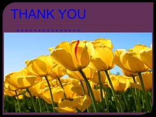 THANK YOU
……………
 