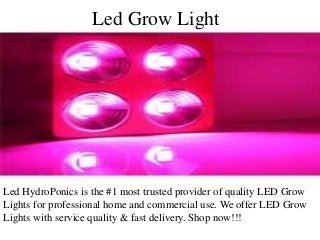 Led Grow Light
Led HydroPonics is the #1 most trusted provider of quality LED Grow
Lights for professional home and commercial use. We offer LED Grow
Lights with service quality & fast delivery. Shop now!!!
 