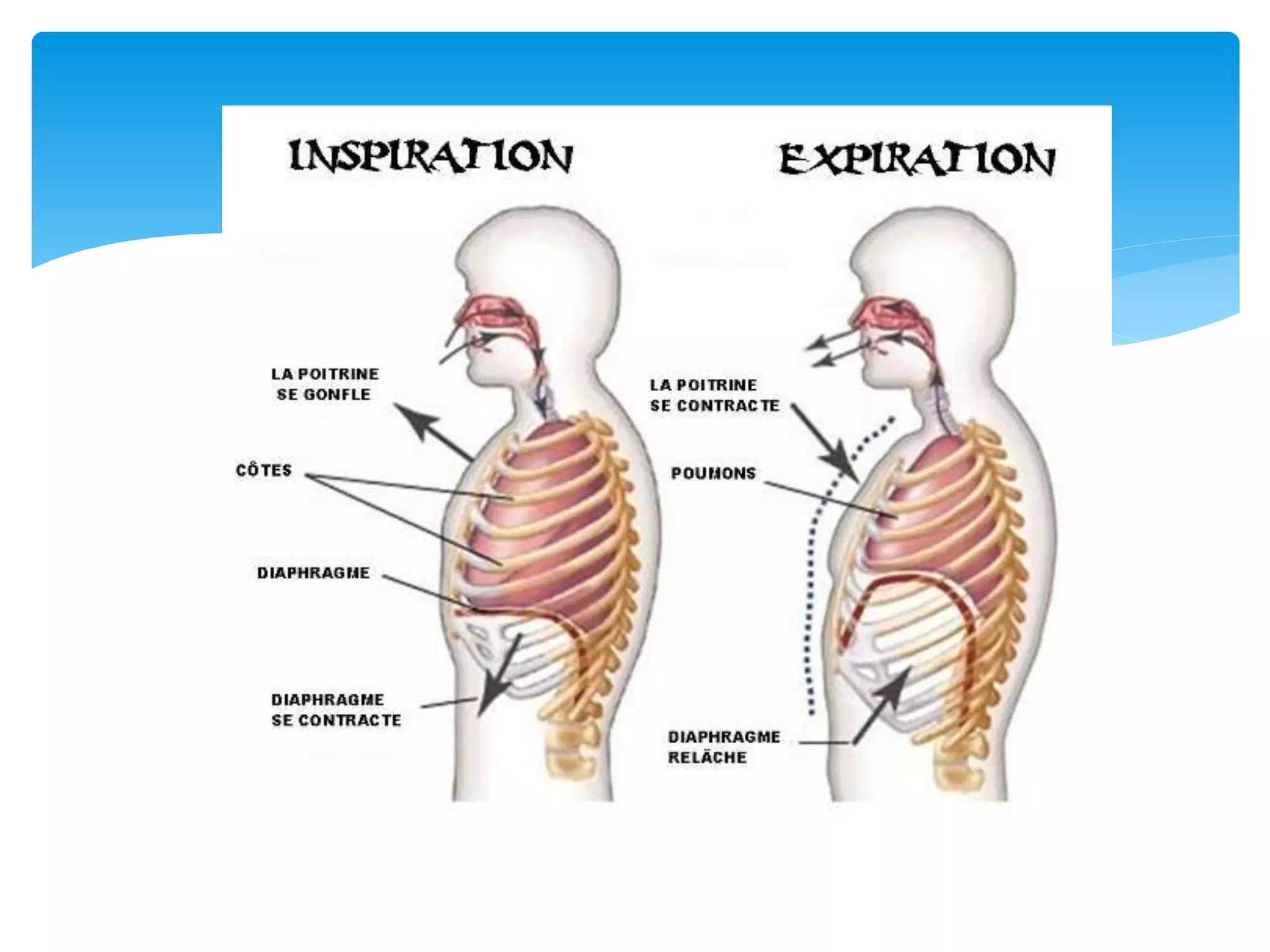 Pièces détachées pour pompes à membrane : Devis sur Pièces détachées pour pompes à membrane : Devis sur