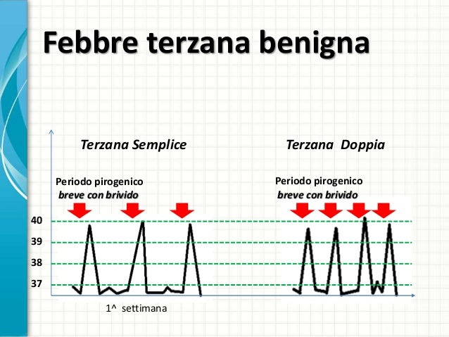 Febbre A 37 Da Una Settimana Le differenti curve febbrili