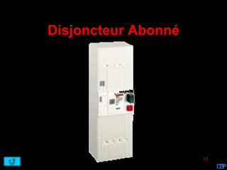 Disjoncteur Abonné




                     12
 
