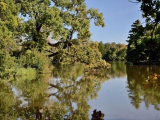 Lednice - zámecký park na podzim (2012)