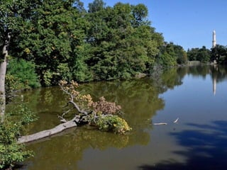 Lednice - zámecký park na podzim (2012)