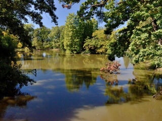 Lednice - zámecký park na podzim (2012)