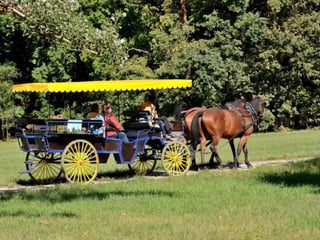 Lednice - zámecký park na podzim (2012)