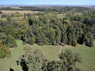 Lednice - zámecký park na podzim (2012)