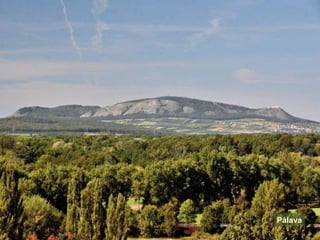 á
 