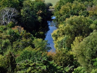 Lednice - zámecký park na podzim (2012)