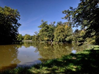 Lednice - zámecký park na podzim (2012)