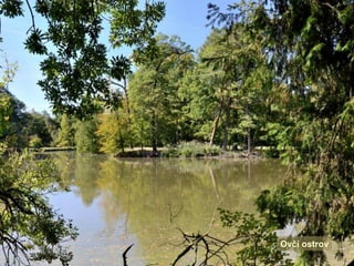 Ovčí ostrov
 
