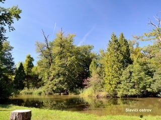 Slavičí ostrov
 