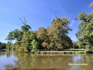 Narcisový ostrov
 