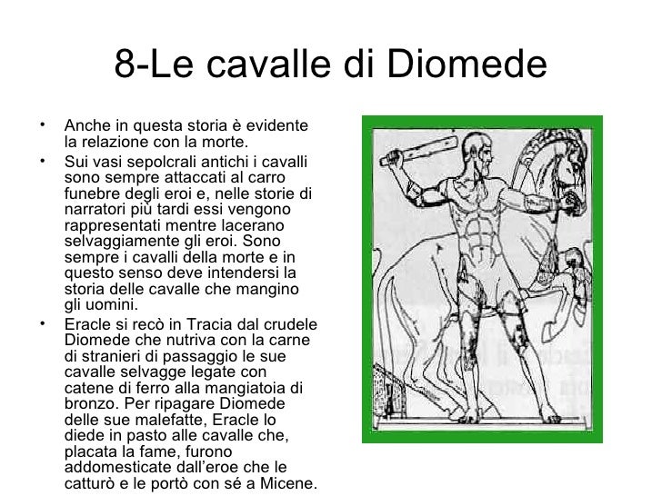 Quali Sono Le 12 Fatiche Di Ercole