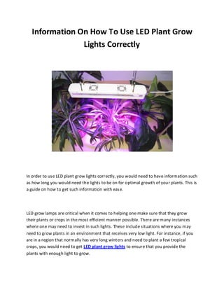 Information On How To Use LED Plant Grow
               Lights Correctly




In order to use LED plant grow lights correctly, you would need to have information such
as how long you would need the lights to be on for optimal growth of your plants. This is
a guide on how to get such information with ease.




LED grow lamps are critical when it comes to helping one make sure that they grow
their plants or crops in the most efficient manner possible. There are many instances
where one may need to invest in such lights. These include situations where you may
need to grow plants in an environment that receives very low light. For instance, if you
are in a region that normally has very long winters and need to plant a few tropical
crops, you would need to get LED plant grow lights to ensure that you provide the
plants with enough light to grow.
 