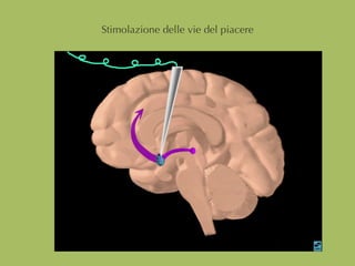 Stimolazione delle vie del piacere
 