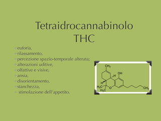 Tetraidrocannabinolo
THC
euforia,
rilassamento,
percezione spazio-temporale alterata;
alterazioni uditive,
olfattive e visive,
ansia,
disorientamento,
stanchezza,
stimolazione dell'appetito.
 