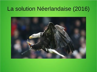La solution Néerlandaise (2016)
 
