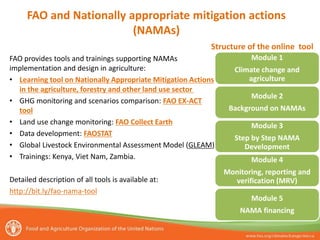 FAO and Nationally appropriate mitigation actions
(NAMAs)
Module 1
Climate change and
agriculture
Module 2
Background on NAMAs
Module 3
Step by Step NAMA
Development
Module 4
Monitoring, reporting and
verification (MRV)
Module 5
NAMA financing
Structure of the online tool
FAO provides tools and trainings supporting NAMAs
implementation and design in agriculture:
• Learning tool on Nationally Appropriate Mitigation Actions
in the agriculture, forestry and other land use sector
• GHG monitoring and scenarios comparison: FAO EX-ACT
tool
• Land use change monitoring: FAO Collect Earth
• Data development: FAOSTAT
• Global Livestock Environmental Assessment Model (GLEAM)
• Trainings: Kenya, Viet Nam, Zambia.
Detailed description of all tools is available at:
http://bit.ly/fao-nama-tool
 