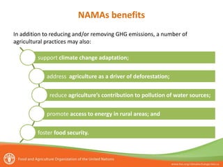 NAMAs benefits
In addition to reducing and/or removing GHG emissions, a number of
agricultural practices may also:
support climate change adaptation;
address agriculture as a driver of deforestation;
reduce agriculture’s contribution to pollution of water sources;
promote access to energy in rural areas; and
foster food security.
 
