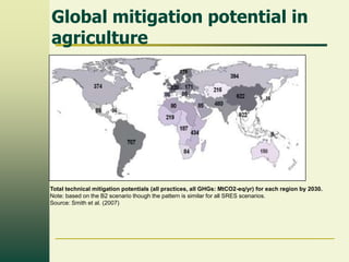 Global mitigation potential in
agriculture

Total technical mitigation potentials (all practices, all GHGs: MtCO2-eq/yr) for each region by 2030.
Note: based on the B2 scenario though the pattern is similar for all SRES scenarios.
Source: Smith et al. (2007)

 