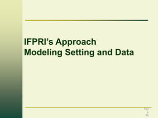 IFPRI’s Approach
Modeling Setting and Data

Pag
e
38

 