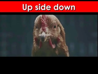 Up side downUp side downUp side downUp side down
 