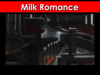 Milk RomanceMilk RomanceMilk RomanceMilk Romance
 