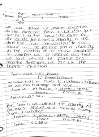 LeDue 86981123 Doppler 