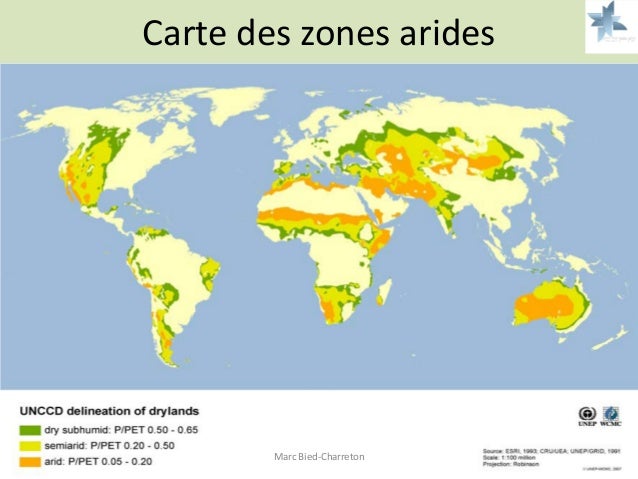Qu’Est-Ce Que Les Zones Arides – CXUGH