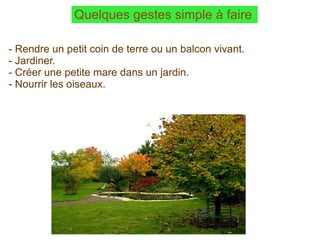 Quelques gestes simple à faire   - Rendre un petit coin de terre ou un balcon vivant. - Jardiner.  - Créer une petite mare dans un jardin. - Nourrir les oiseaux.  